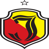 team-logo